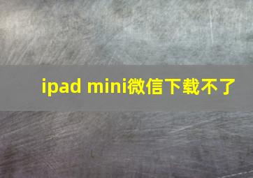 ipad mini微信下载不了